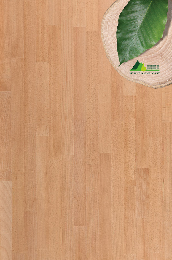 BEI-Beech-Panels